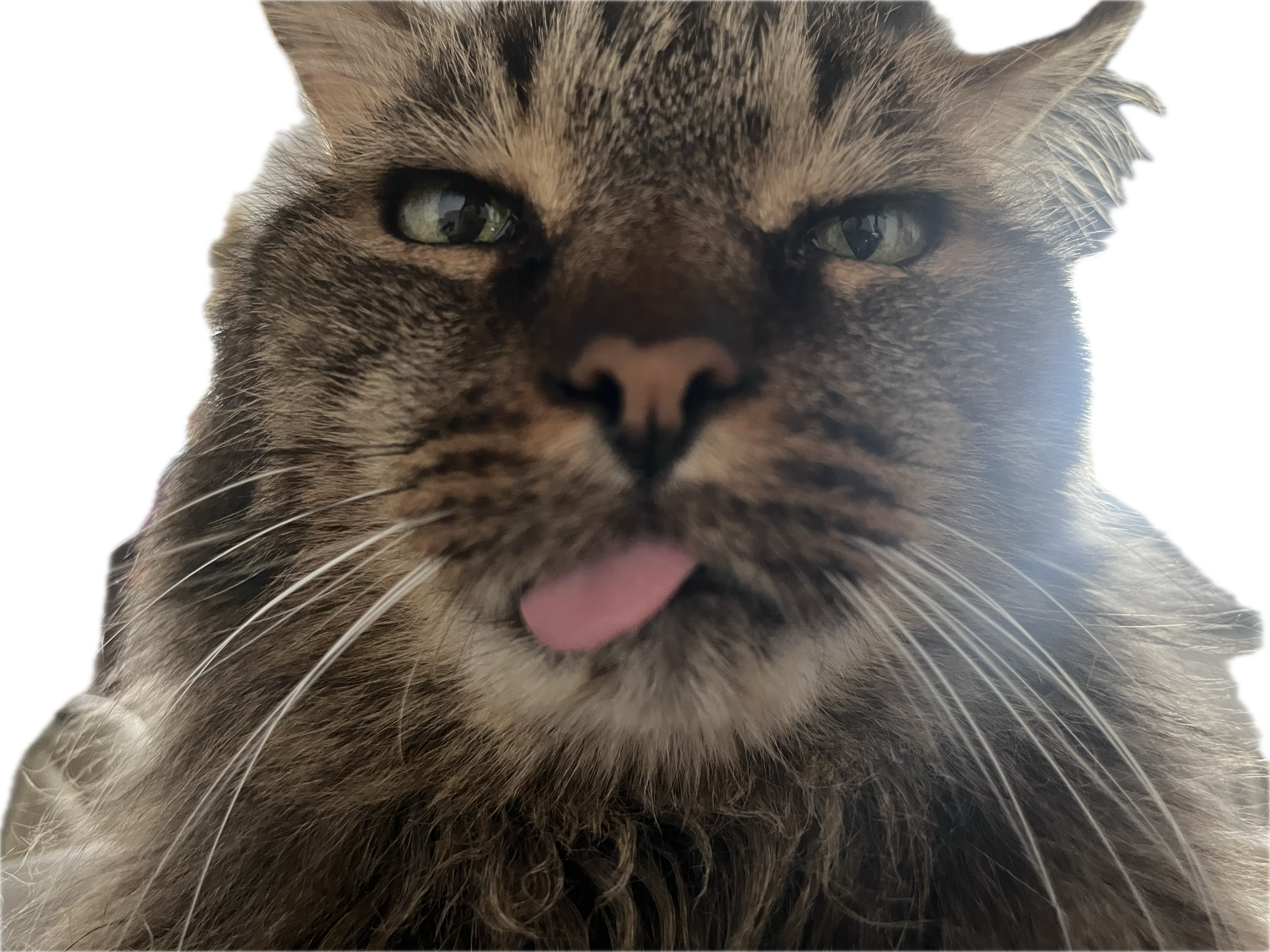 Izzie Sticker 3