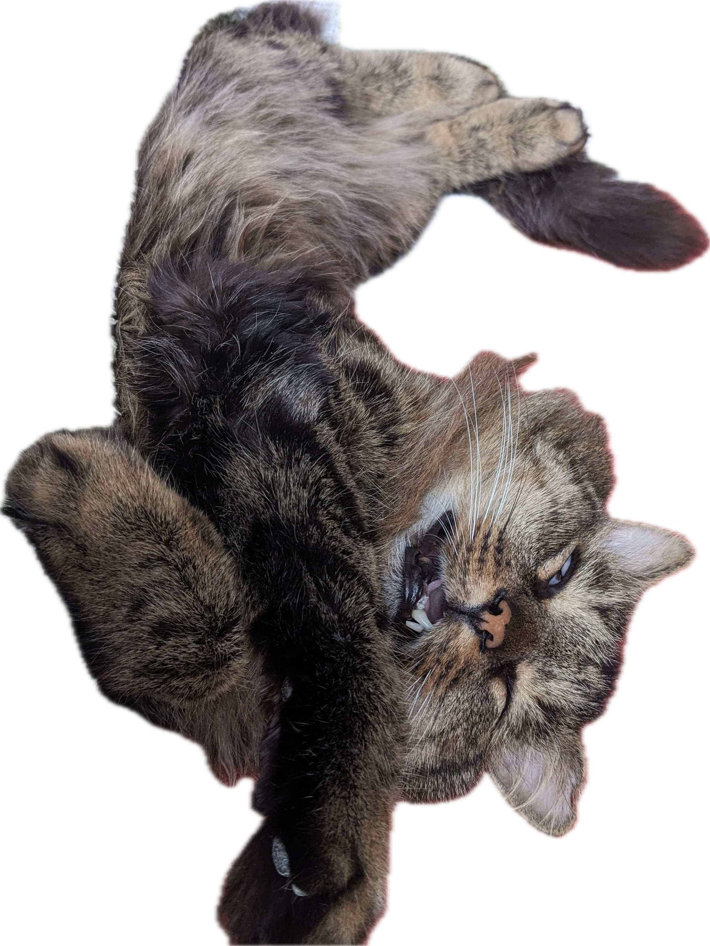 Izzie Sticker 4