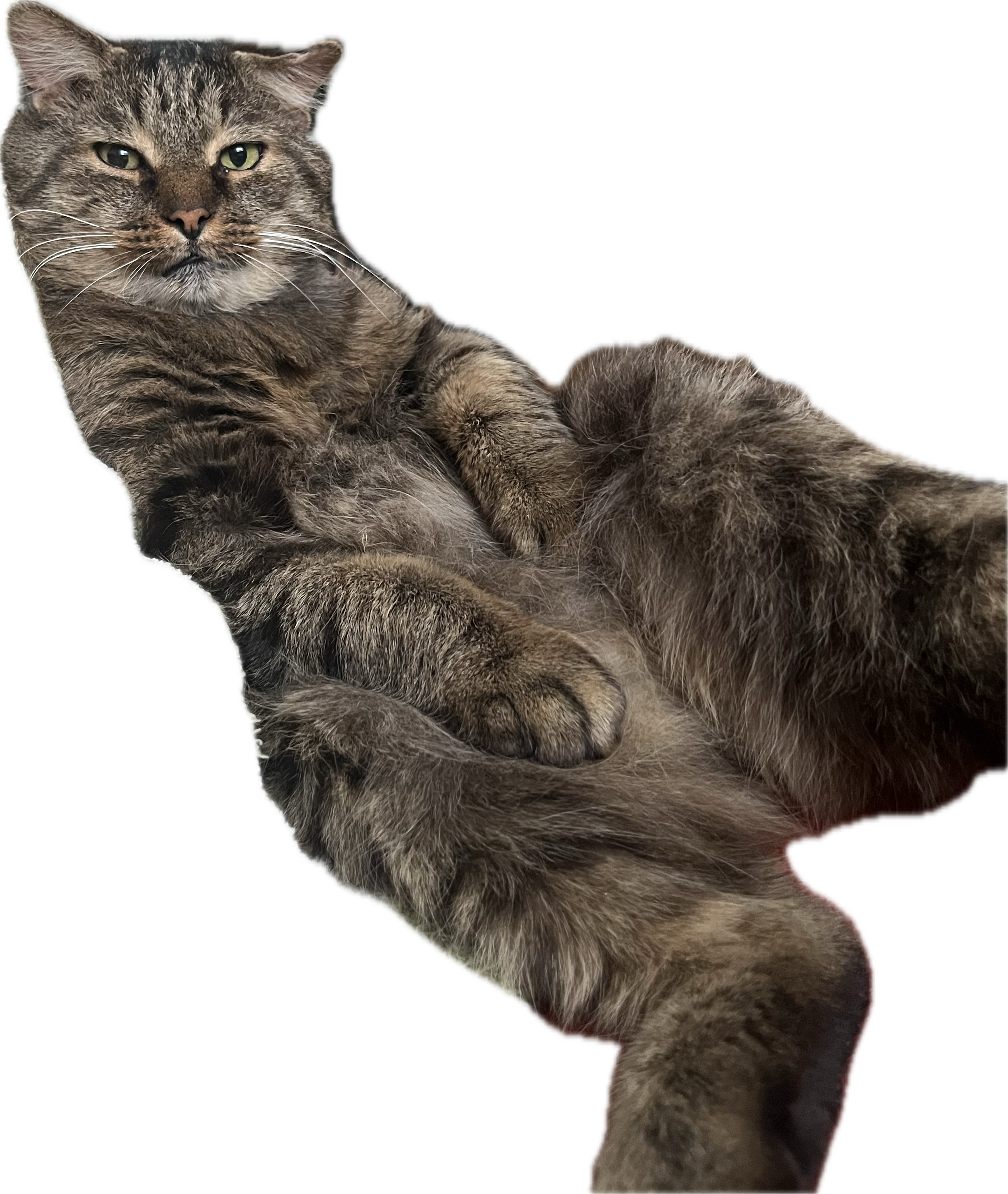 Izzie Sticker 5